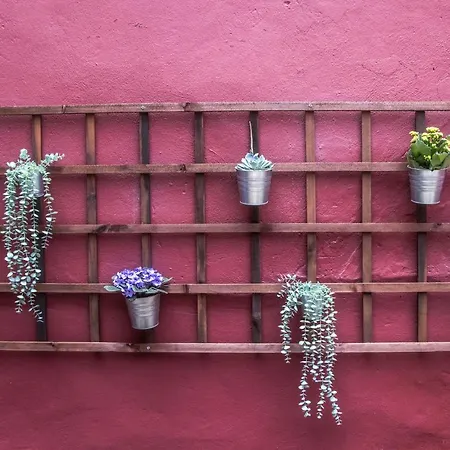 Sao Lazaro's Garden - With Terrace 公寓