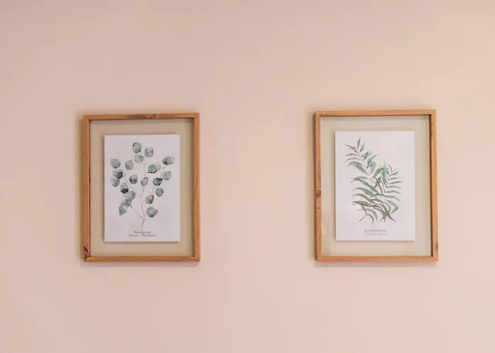 Sao Lazaro's Garden - With Terrace