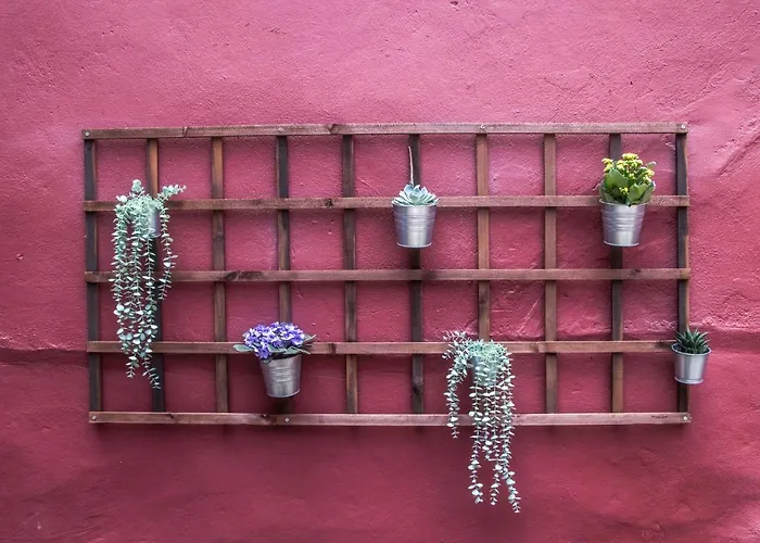 Sao Lazaro's Garden - With Terrace Lejlighed