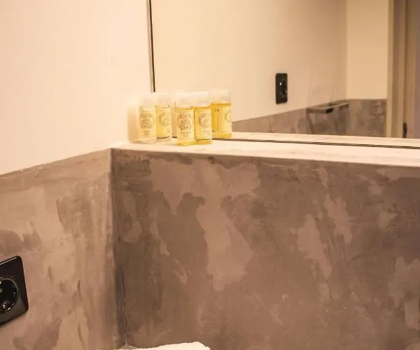 Sao Lazaro's Garden - With Terrace 公寓 波尔图