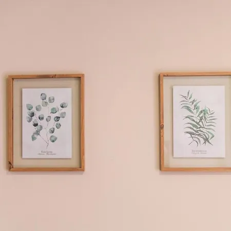 Sao Lazaro's Garden - With Terrace